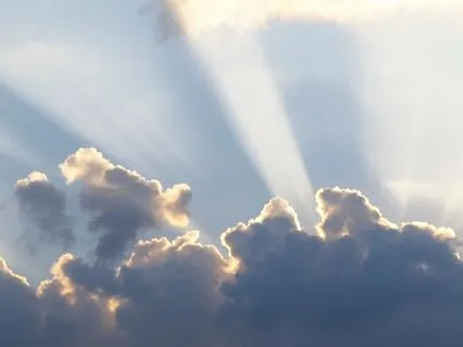 Navigating & Clearing Emotions