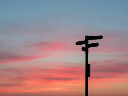 Navigating Decisions