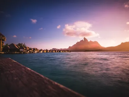 Navigating Disinformation