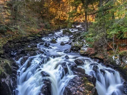 Navigating Emotions Through Difficult Times