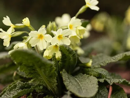 Navigating Frustration With Love - February 25