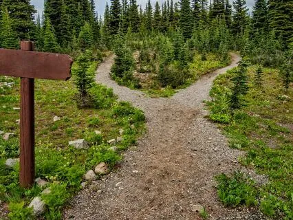 Navigating Gemini's Cosmic Crossroads