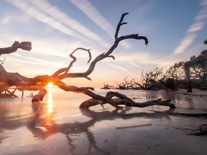 Navigating Grief: Coping With The Loss Of Your Mother