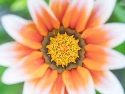 Navigating Hearing Loss With Inner Peace