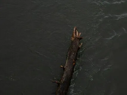 Navigating Inner Hurdles Meditation For Adaptability