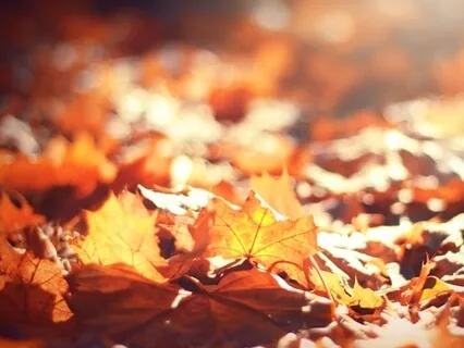 Navigating Life Transitions