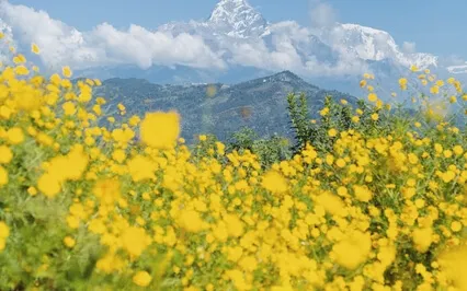 Navigating Life's Obstacles