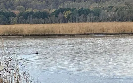 Navigating Life's Turbulence With Grace