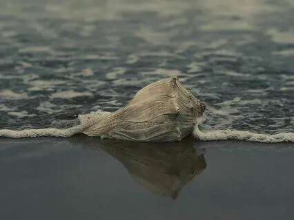 Navigating Sadness With Little LiLi (Kids)