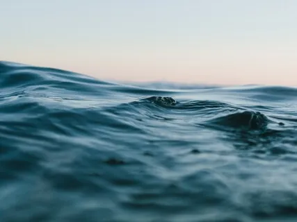 Navigating Transitions: Feeling Your Feelings