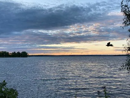 Navigating Work Stress And Uncertainty