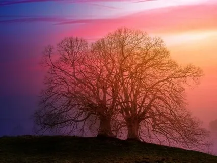 Navratri Yoga Nidra Meditation Honoring The Female Energy The Divine Mother Within Each Of Us