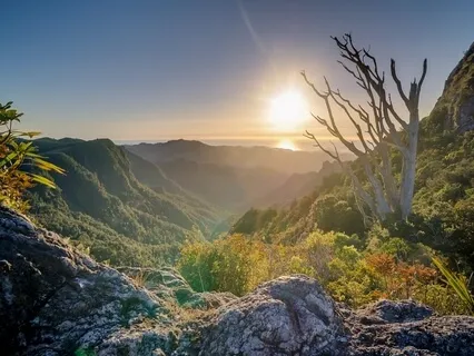 Near-Death Experiences & Life Beyond Life