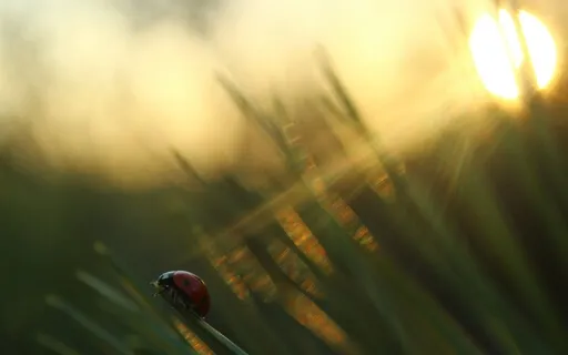 Nearly There - Emotional Healing