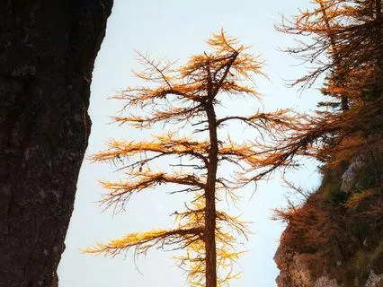 Neck Pain Relief: Mindful Guided Stretching & Relaxation