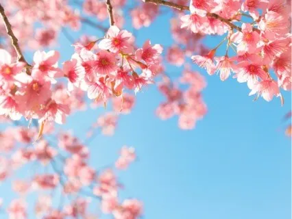 Neck Release Through Breath & Touch