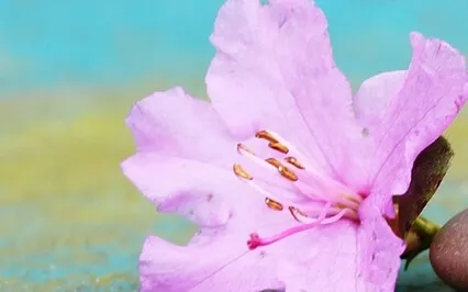 Need Creative Help? Let’s Chant It Out!