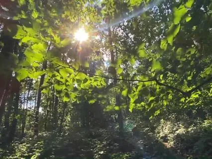 Need Vs. Want: How Perspective & Surrender Changes The Story