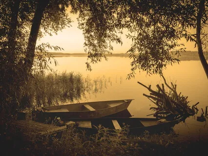 Needy Needs, Lonely Alone