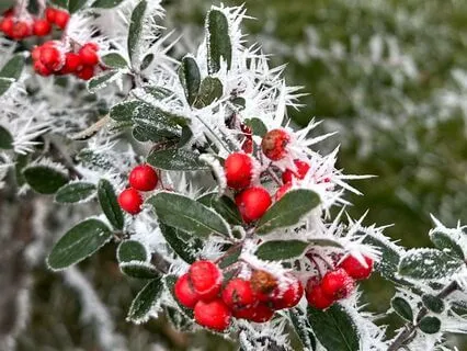 Nefes Alanı ve Takdir