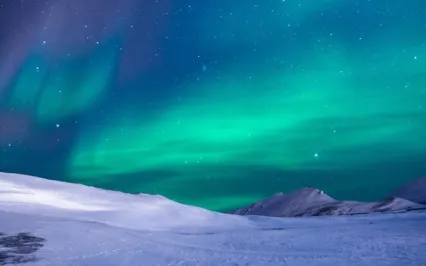 Negation Of Disorder Is Order, Meditation Is Art Of Negation