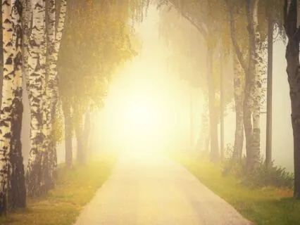 Negativity Cleanse Meditation