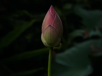 Negativity Into Positivity Meditation