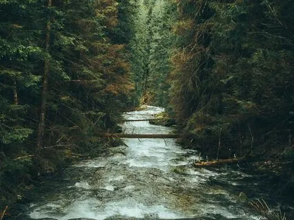 Nervous System Awareness & Restoration Meditation