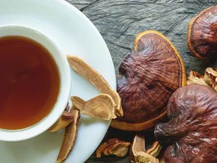 Nervous System Calm & Boundaries: Reishi Mushroom Wisdom