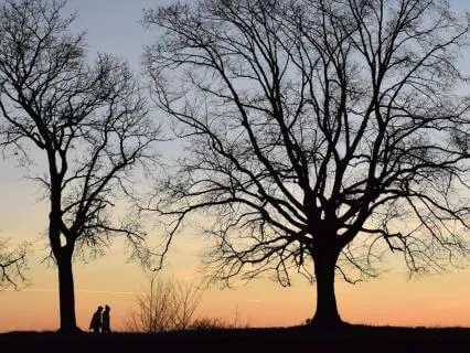 Nervous System Connection & Grounding | Daily Energy Healing