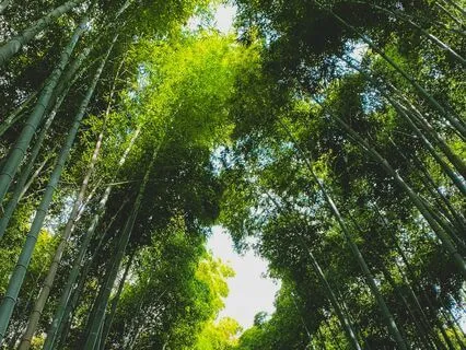 Overwhelmed? Try This