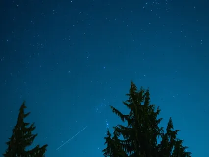 Nervous System Regulating Practices