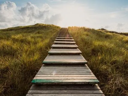 Nervous System Regulation No.27 Learning System Regulation