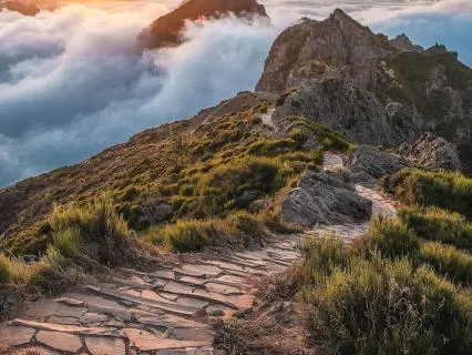 Nervous System Regulation: No.16 Breathwork Felt Sense