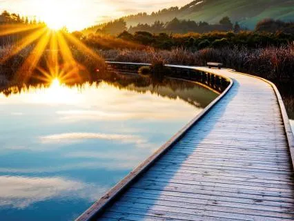 Nervous System Regulation No. 17 Breathing Practices