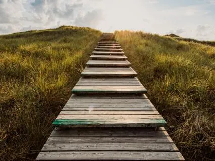 Nervous System Regulation No.29 Releasing What Got Stuck