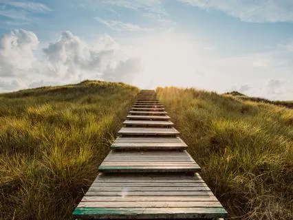 Nervous System Regulation: No.3 From Alert To At Ease