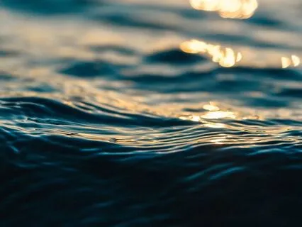 Nervous System Relaxation