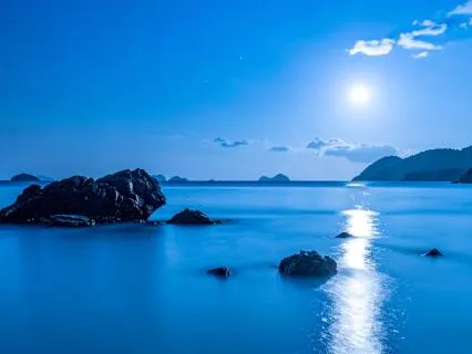 Nervous System Reset | 369 Hz Tuning Fork + Delta Waves