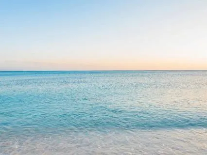 Nervous System Reset: 5 Minute Meditation For Overwhelm