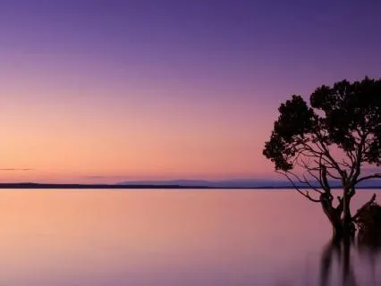 Nervous System Reset – A Meditation For Re-Centering