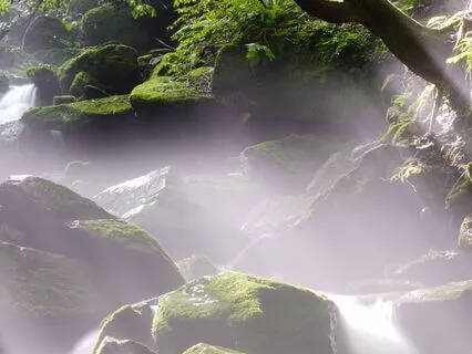 Nervous System Reset: Dynamic To Calm Breathwork Flow