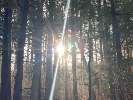 Nervous System Reset: Come Home To Safety & Self-Worth