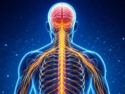 Nervous System Reset | Deep Relaxation In 7 Minutes