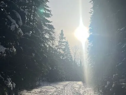 Nervous System Reset For Anxiety