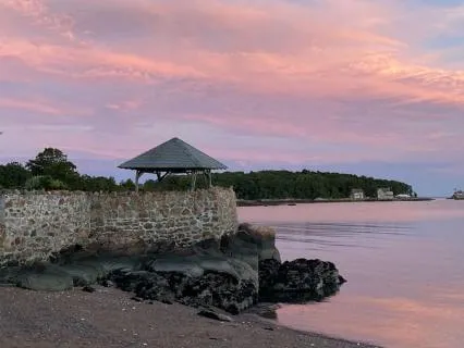 Nervous System Reset For Gut Healing