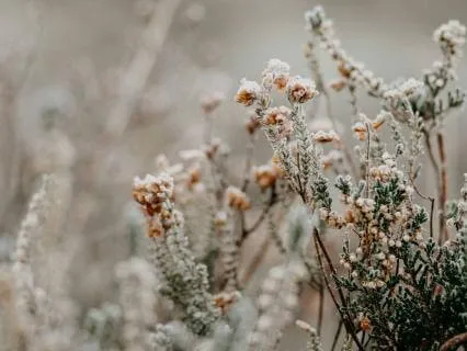 Nervous System Reset For Sensory Overwhelm