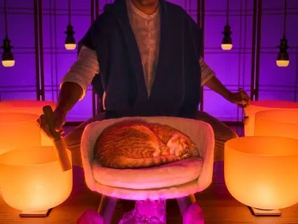 Nervous System Reset For Sleep