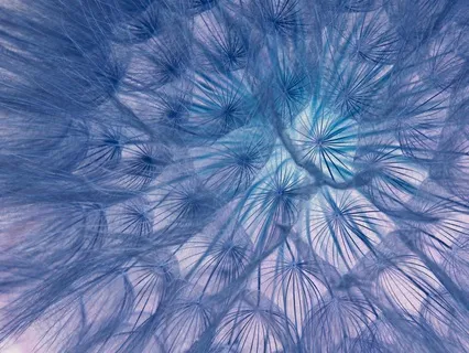 Nervous System Reset (Full Version)