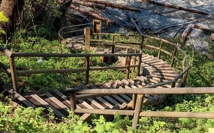 Nervous System Reset Guided Meditation 